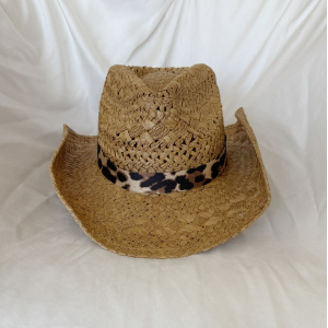 Chapeau Montana