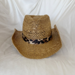 Chapeau Montana