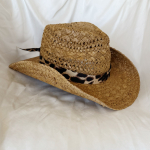 Chapeau Montana