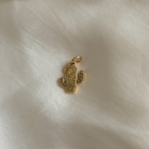 Charm's  Cactus
