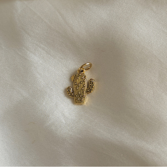 Charm's  Cactus